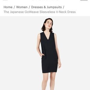 Everlane dress with pockets